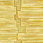 Raffia