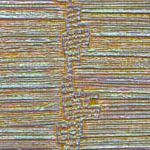 Mineral