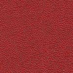 Lacquer