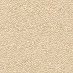 Cashmere