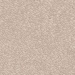 Pumice