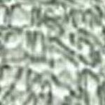 Fern