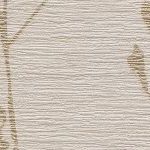 Brushed Brass