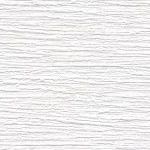 Silver Birch