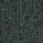 Charred Cypress