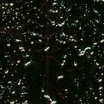 Mylar Gold