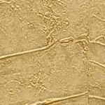 Wheat