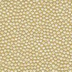 Parchment