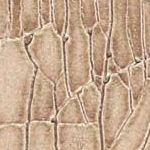 Stone