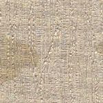 Parchment