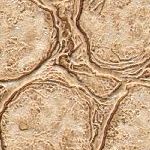 Sand
