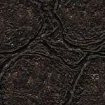 Burnished Bronze