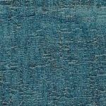 Blue Oyster