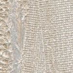 Tasman Taupe