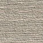 Oyster Shell