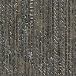 Bark