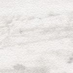Dove