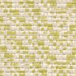 Chameleon Green