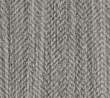 Mane Gray