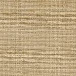Raw Sienna
