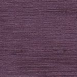 Picasso Plum