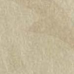 Parchment
