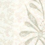 Beige Green