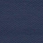 Navy  Gold