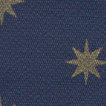 Navy  Gold