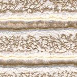 Golden Cream