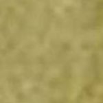 Gold/Rust/Brown
