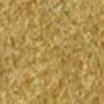 Gold/Tan