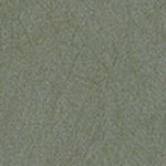 Tin Pearl/Brown