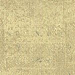 Champaign