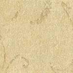 Camel Scroll