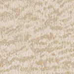 Beige Peach