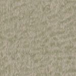 Beige Green