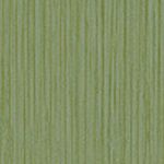 Fern