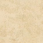 Beige Gray Cream