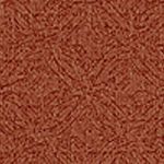 Lacquer